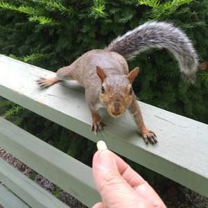 Meet your Posher, Evet